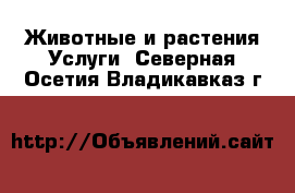 Животные и растения Услуги. Северная Осетия,Владикавказ г.